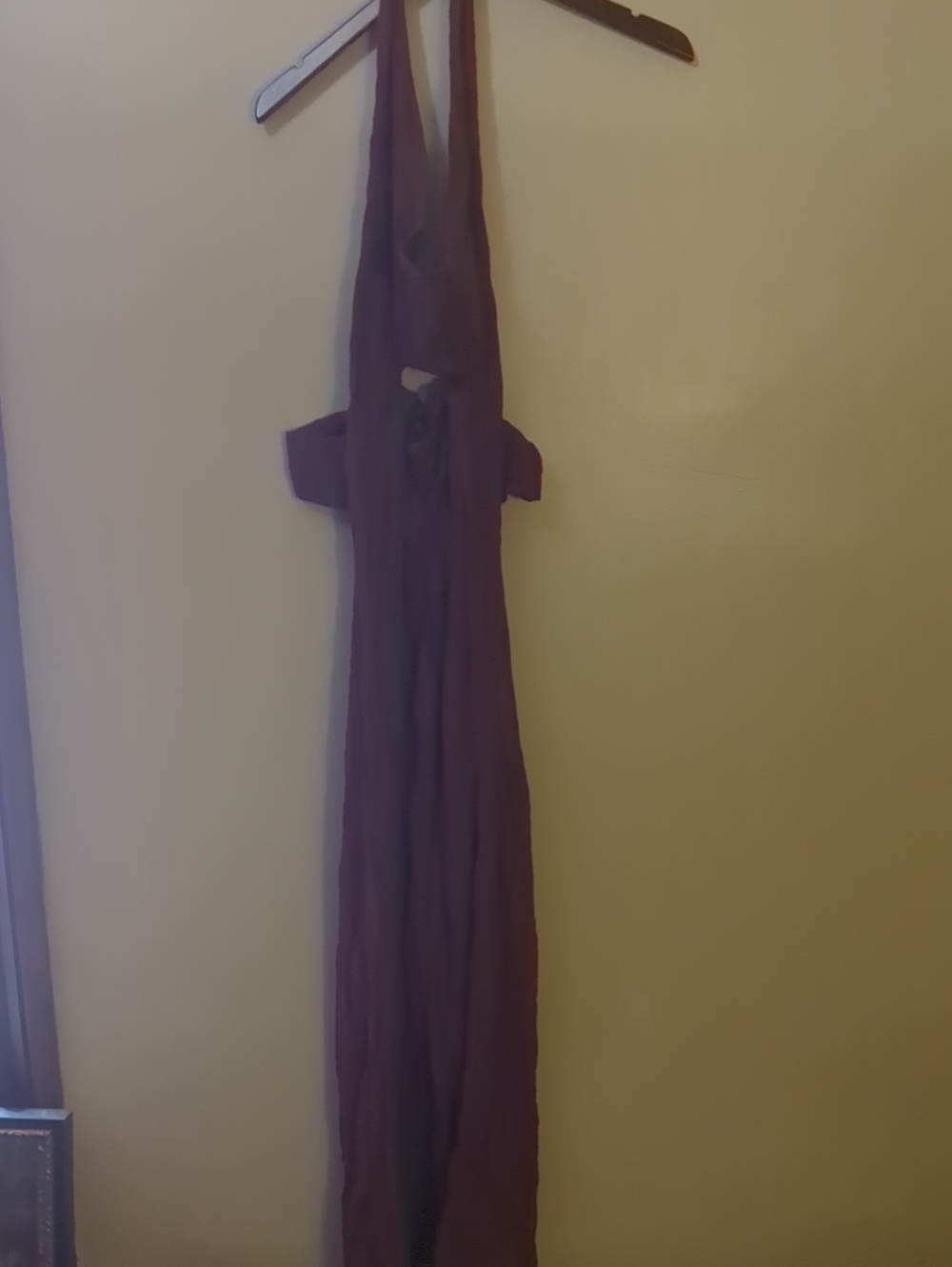 Free People Plum Halter Maxi Dress